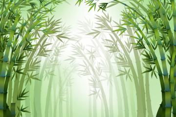 視頻：中國(guó)又一黑科技成“竹”在胸