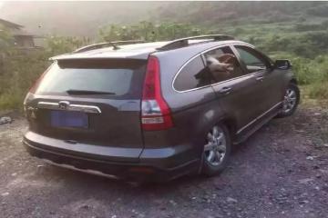 類物流：一輛面包車?yán)铮?4頭豬？！