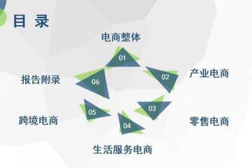《2018年度中國電子商務市場數(shù)據(jù)監(jiān)測報告》