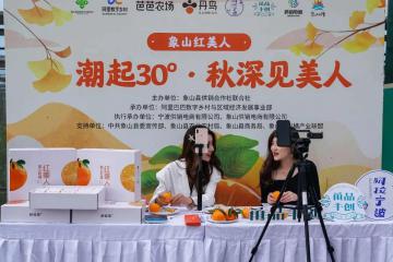 阿里巴巴這個重大升級，將為你的家鄉帶來什么新機會？