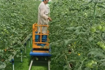 ?央視點贊！無人機、機器人“種地”，給力！