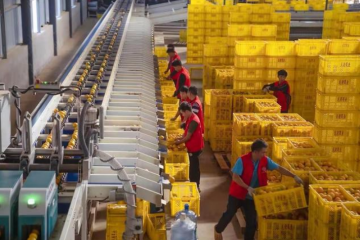 拼多多入選 Fast Company“2022年十大創(chuàng)新物流供應(yīng)鏈公司”榜單
