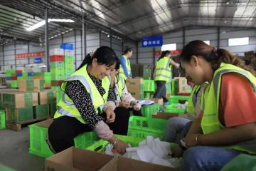 如何釋放農(nóng)村家居消費潛力？如何優(yōu)化縣域流通網(wǎng)絡和渠道？商務部答記者問