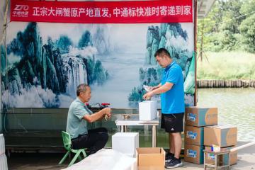 與順豐正面對決？中通標(biāo)快全力“搶食”大閘蟹