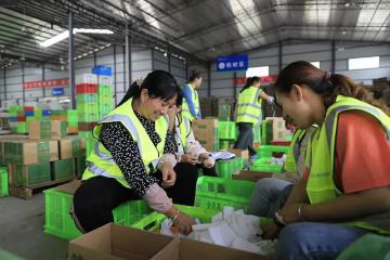 【原創】共配，能否讓鄉村物流走出困境？