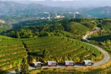 順豐深入原產(chǎn)地助力春茶香飄全國！