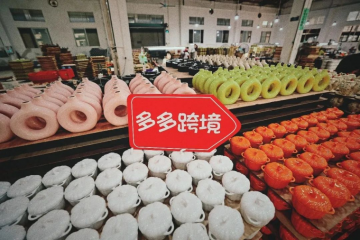 挑起大梁，Temu的出海遠(yuǎn)征