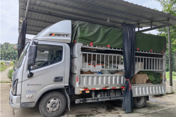 油耗堪比一輛家用SUV，歐馬可自動(dòng)擋用實(shí)力征服20年駕齡老司機(jī)