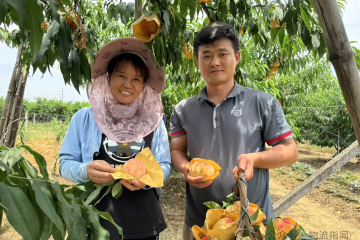 極致時效：順豐按下加速鍵