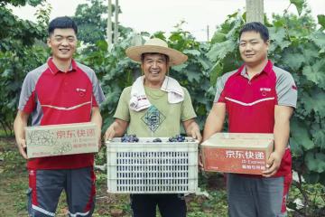 10年增長10倍！構(gòu)建農(nóng)村快遞服務新模式