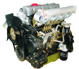 叉車發(fā)動(dòng)機(jī) 新柴  A490BPG