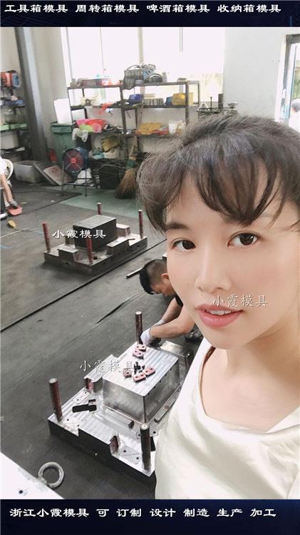 供應塑料箱子注塑模具	周轉箱塑膠模具