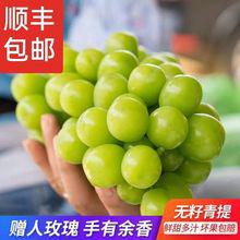 青島港進口日本晴王香印青提當天現摘禮盒水果店葡萄報關