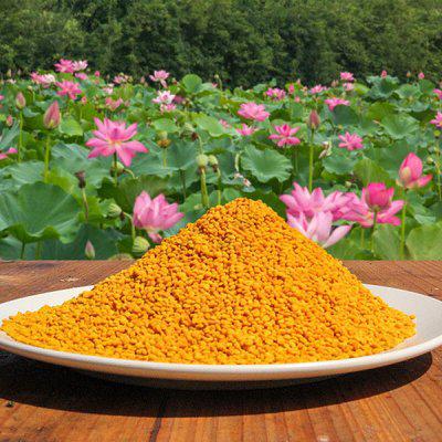 美國蜂花粉養(yǎng)蜂喂蜂純正蜜蜂飼料蜂蜜食品健康在常州港進口報關(guān)