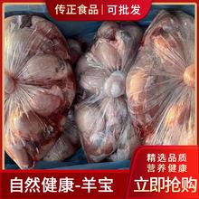 天津進口澳洲一手貨源批發清真嫩羊新鮮冷凍羊肉報關清關