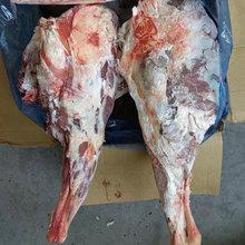 天津進口澳洲冷凍羊肉穿羊肉串羔羊碎肉瘦肉大塊報關清關