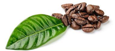 廣州進口巴西咖啡豆報關清關要提供夏季正確使用空調秘訣